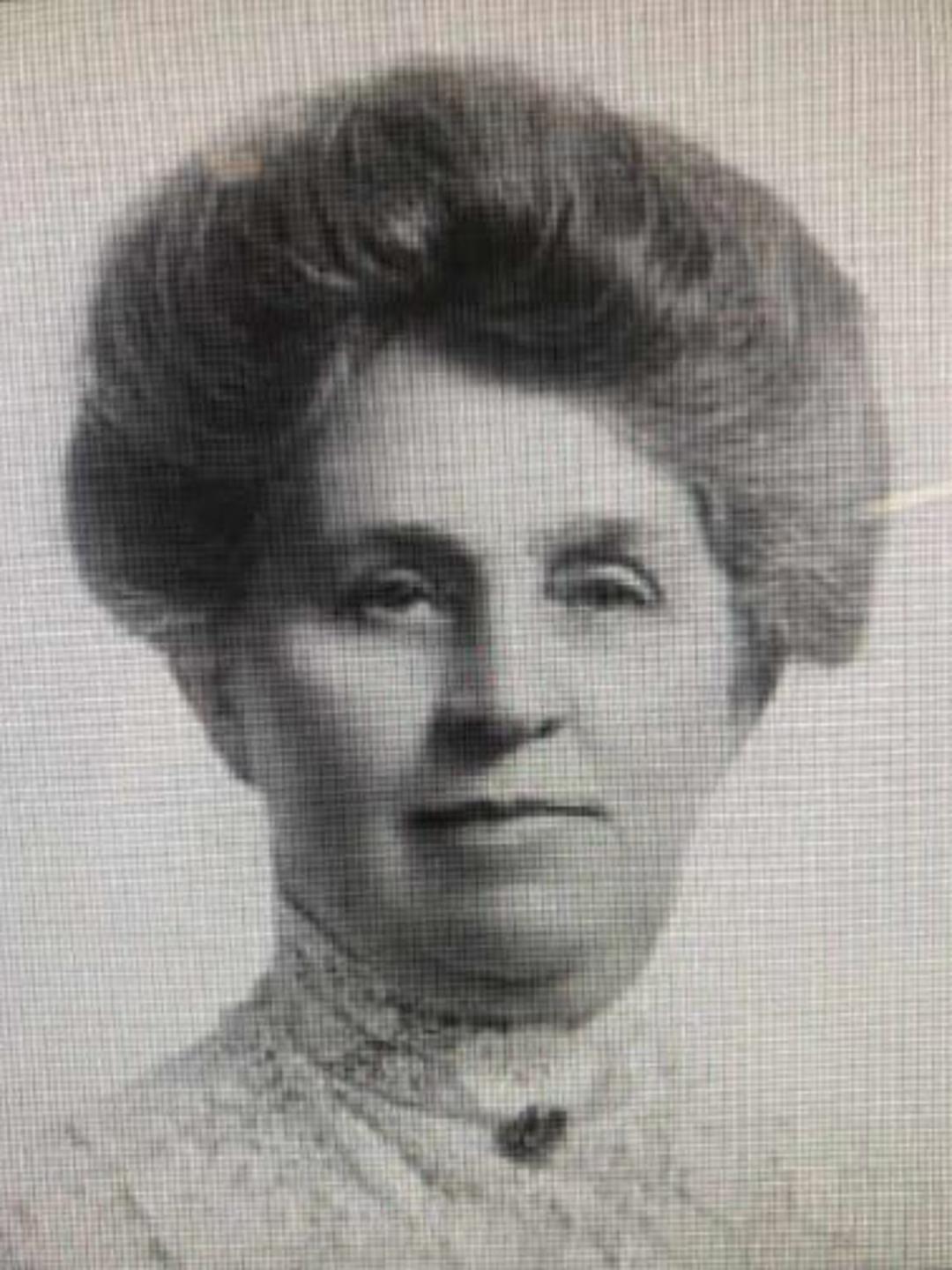 Seraph Cedenia Young (1846 - 1938) Profile